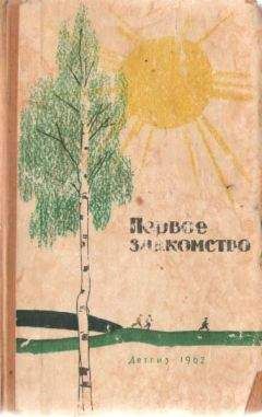 Алексей Сочев - Первое знакомство (сборник)