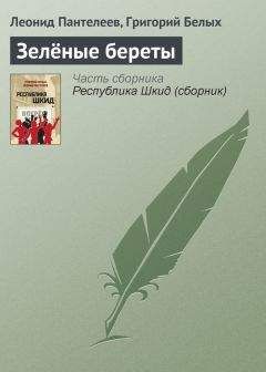 Георгий Кубанский - Гринька - «Красный мститель»