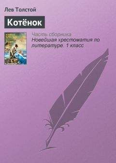 Полина Голицына - Двойная кража, «саванна» и вязаная крыса