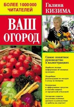 Виктория Кирова - Умные грядки для чудо-урожая