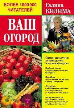 Галина Кизима - Сад и огород на дачном участке. 500 подробных ответов на все самые важные вопросы