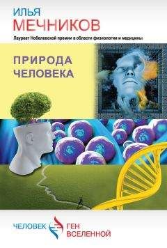 В. Жаворонков - Азбука безопасности в чрезвычайных ситуациях.