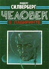 Роберт Силверберг - Ночные крылья. Человек в лабиринте. Полет лошади