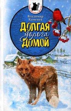 Владимир Разумневич - Два сапога — пара