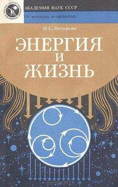 Николай Лучник - Невидимый современник