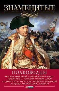 Дмитрий Табачник - Полководцы Украины: сражения и судьбы