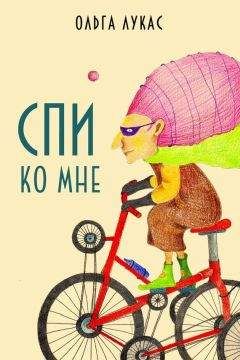 Игорь Шелег - Книга 2. В поиске своего пути