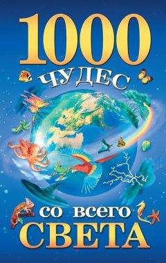 Меир Шалев - Секреты обманчивых чудес. Беседы о литературе