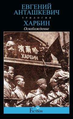 Евгений Анташкевич - Хроника одного полка. 1915 год