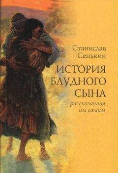 Владимир Шеменев - Я ─ осёл, на котором Господин мой въехал в Иерусалим