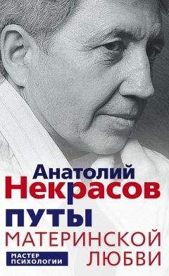 Константин Шереметьев - Интеллектика. Как работает ваш мозг