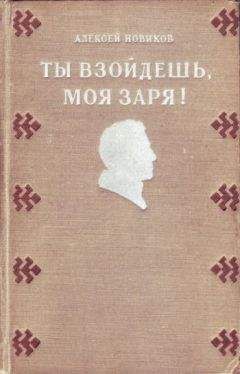Алексей Новиков-Прибой - Цусима. Книга 2. Бой
