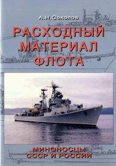 Сергей Несоленый - Миноносцы Первой эскадры флота Тихого океана в русско-японской войне (1904-1905 гг.)