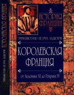 Владимир Шишкин - Королевский двор и политическая борьба во Франции в XVI-XVII веках