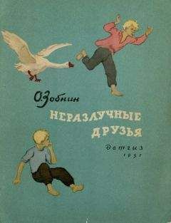 Владимир Разумневич - Два сапога — пара
