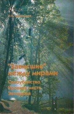 Свами Шивананда - Что происходит с душой после смерти