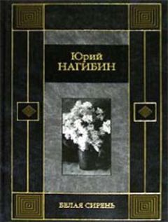 Надежда Кожушаная - Нога [киносценарий]