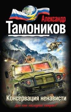 Александр Тамоников - Штурмовая Бригада