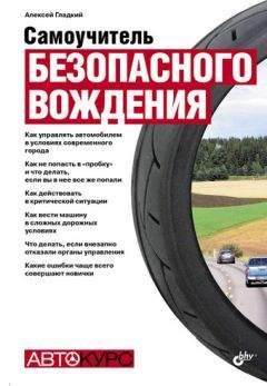 Владислав Волгин - Автосервис. Управление рисками: Практическое пособие