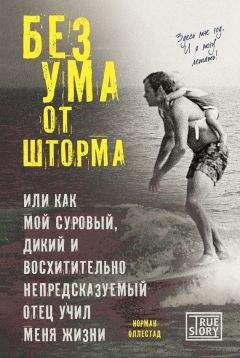 Норман Оллестад - Без ума от шторма, или Как мой суровый, дикий и восхитительно непредсказуемый отец учил меня жизни