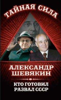 Александр Шевякин - Система безопасности СССР