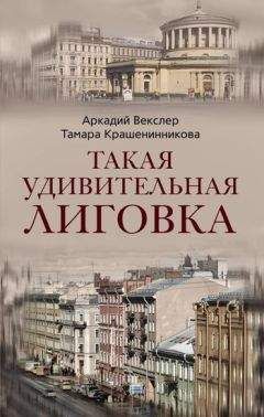 Аркадий Векслер - Владимирский округ. Большая и Малая Московские улицы и улица Правды