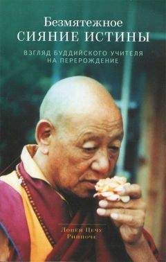 Дзонгсар Кхьенце - Не счастья ради. Руководство по так называемым предварительным практикам тибетского буддизма