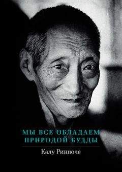 Йонге Ринпоче - Радостная мудрость. Принятие перемен и обретение свободы