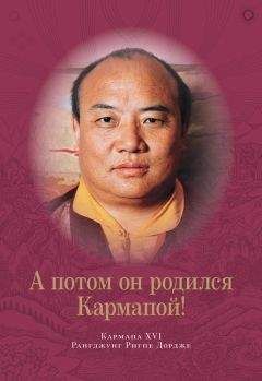  Далай-лама XIV - Интервью в Бодхгайе, 1981-1985