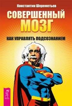 Эми Брэнн - Заставь свой мозг работать. Как максимально повысить свою эффективность