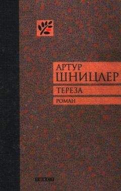 Станислав Виткевич - Ненасытимость