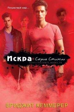 Бриджид Кеммерер - Бесстрашный (ЛП)