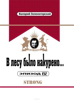 Валерий Зеленогорский - В лесу было накурено