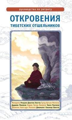 Тулку Тхондуп - Ум Будды. Антология текстов Лонгчемпы по Дзота Ченпо.