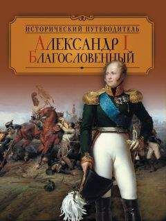 Александр Андреев - Наполеон в России и дома. «Я – Бонапарт и буду драться до конца!»