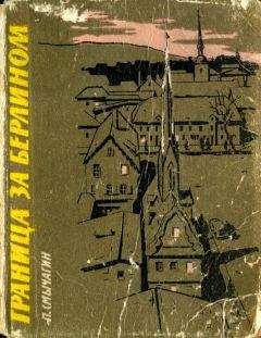 Георгий Брянцев - Конец Осиного гнезда (Рисунки В. Трубковича)