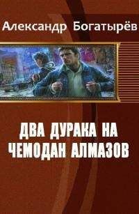 Александр Богатырёв - Самолет для валькирии