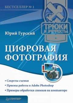 Александр Виноградов - Китайшоп от А до Я. Покупки за купоны