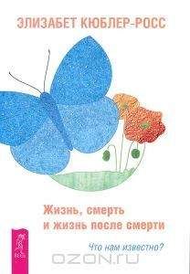 Дениз Линн - Опыт прошлых жизней. Как узнать о собственных ошибках и исправить их