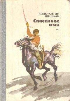 Лаймонис Вацземниек - Тайна Корабельного кладбища