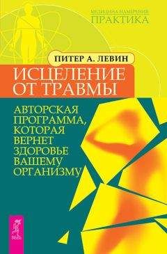 Дэвид Файнштейн - Энергетическая психология