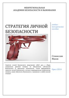 Евгений Ищенко - Смертельно опасная триада, или Всё о дорожной безопасности