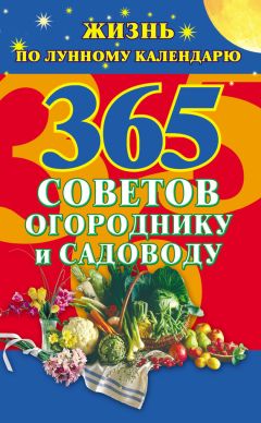 Наталья Судьина - 365 золотых советов на каждый день. Жизнь по лунному календарю