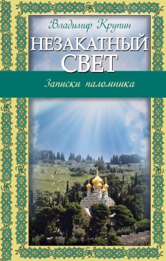 Монахиня Евфимия - Записки из преисподней. О страстях и искушениях