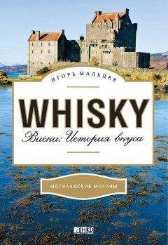 Борис Родионов - История русской водки от полугара до наших дней