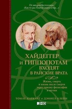 Дэниел Клейн - Хайдеггер и гиппопотам входят в райские врата. Жизнь, смерть и жизнь после смерти через призму философии и шутки