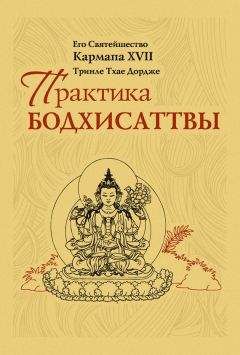 Дзонгсар Кхьенце - Не счастья ради. Руководство по так называемым предварительным практикам тибетского буддизма