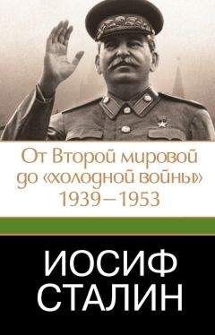 Александр Костин - Сталин против партии. Разгадка гибели вождя