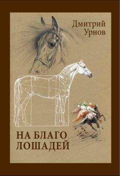 Борис Васильев - Летят мои кони