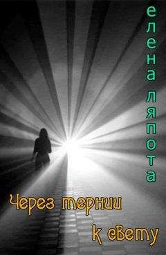 Мири Яникова - Погоня через миры